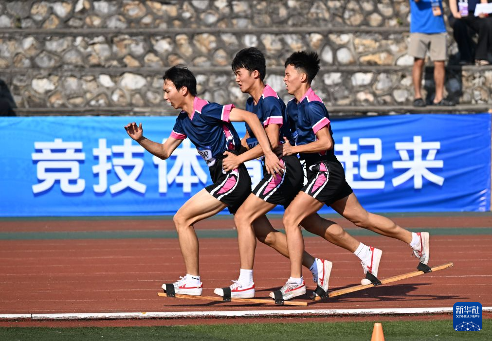 GA黄金甲介绍图片